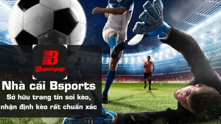 Cá cược thể thao là thế mạnh được Bsport